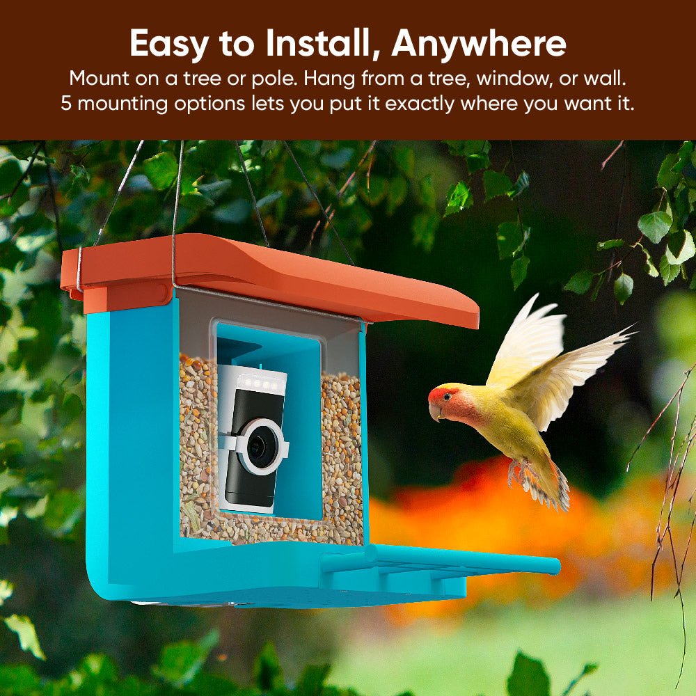 bird-feeder-wireless-camera-bundle-wyze-labs-inc-548747.jpg