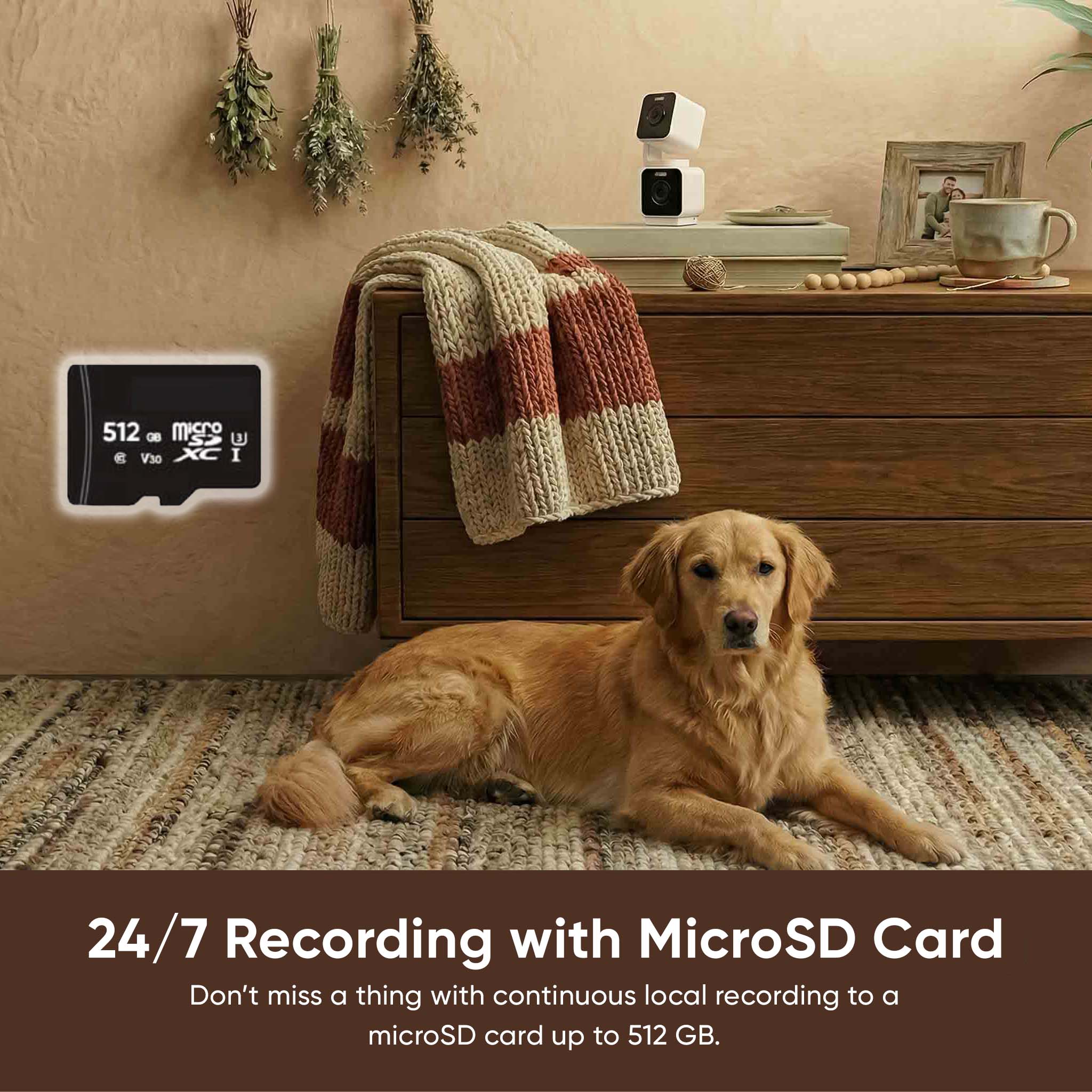 pet-monitoring-plus-wyze-labs-inc-1521939.jpg