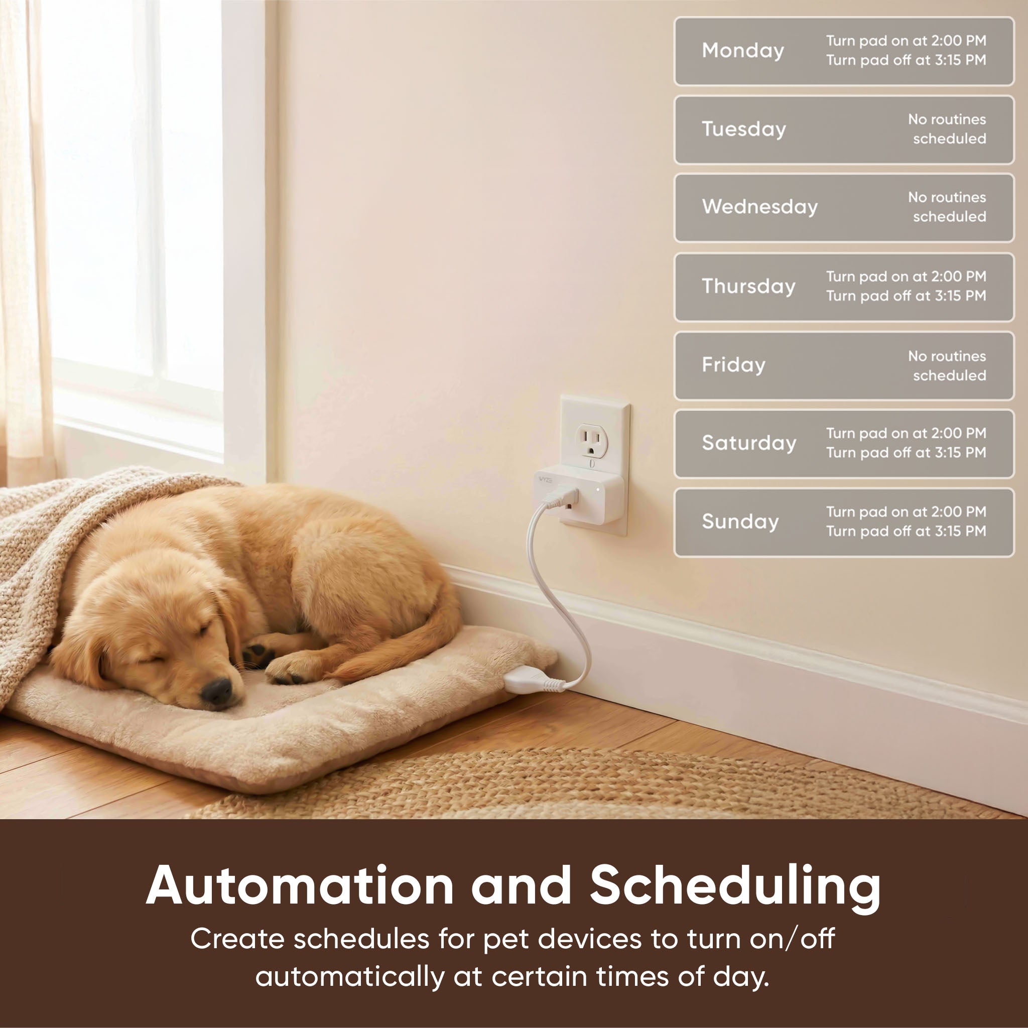 pet-monitoring-plus-wyze-labs-inc-9711597.jpg