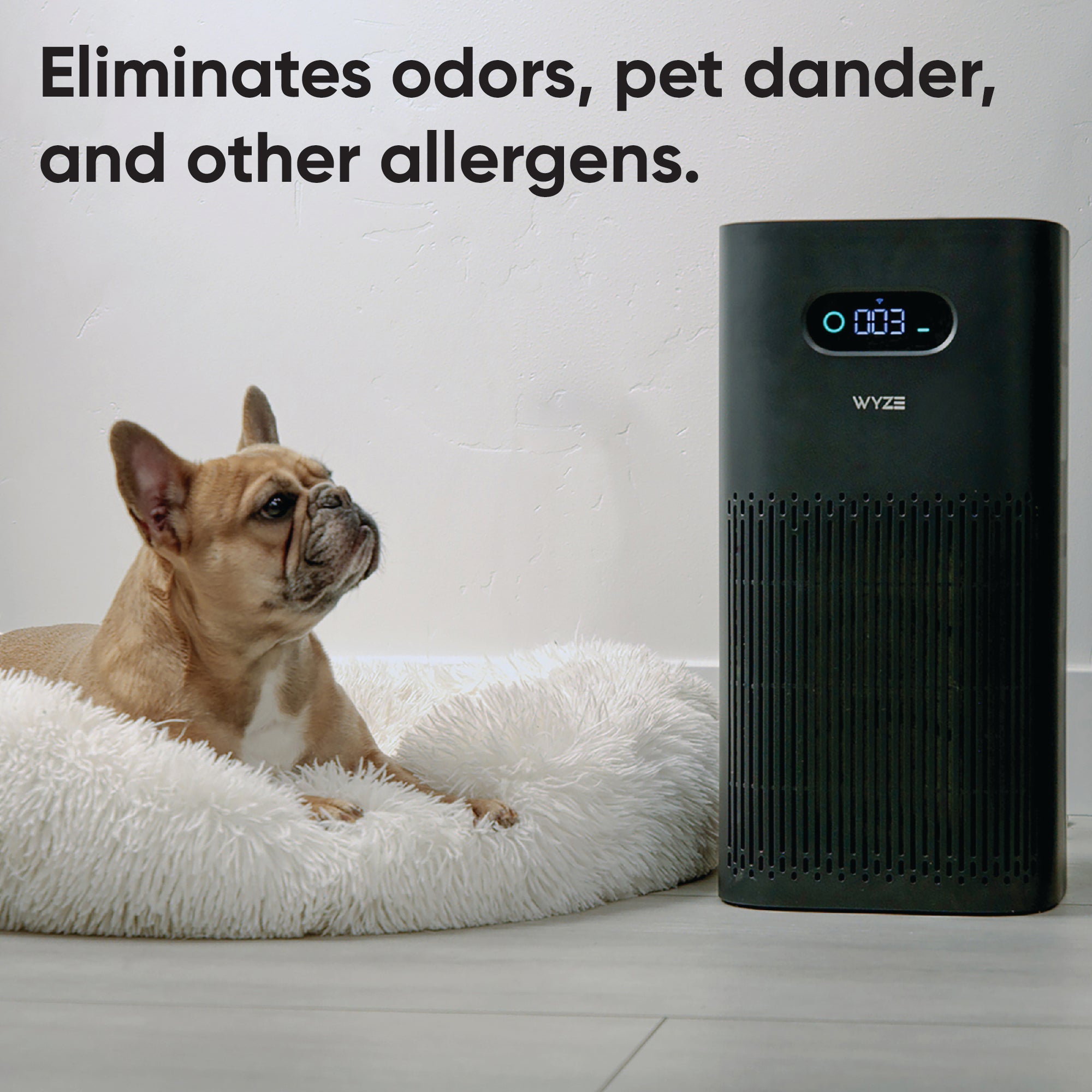 wyze-air-purifier-wyze-labs-inc-238981.jpg