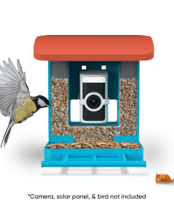 Wyze Bird Feeder