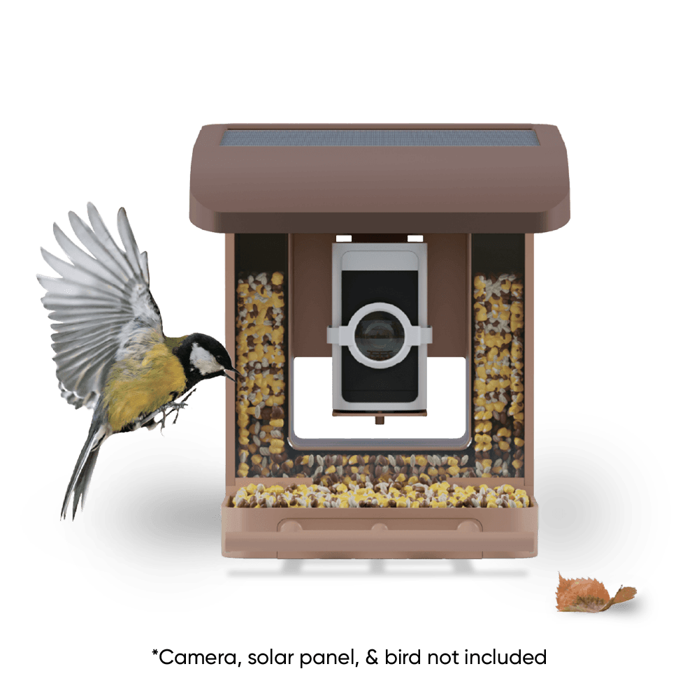 wyze-bird-feeder-wyze-labs-inc-355666.png
