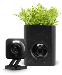 Wyze Cam Vase